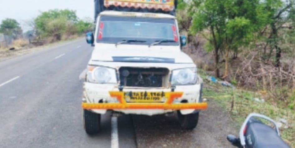 गोवंश जनावरांची बेकायदा वाहतूक; गुन्हा दाखल