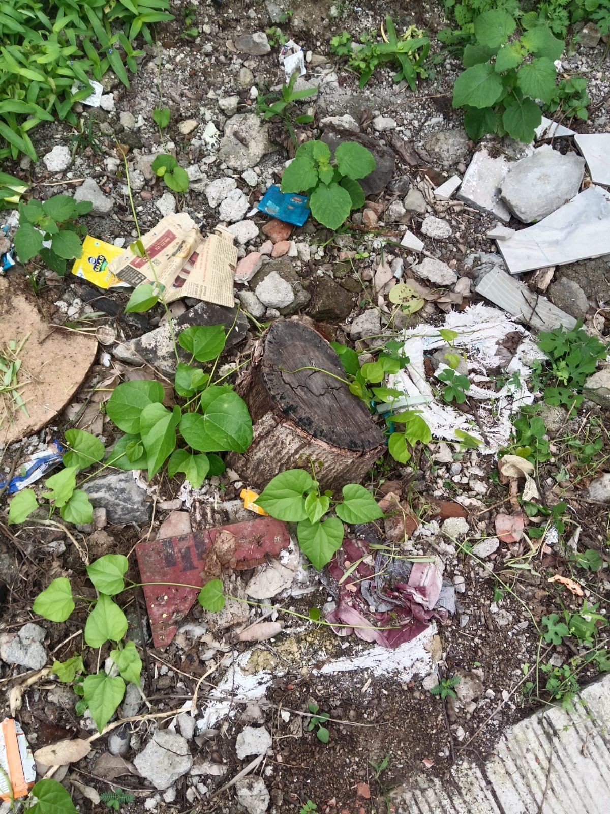सत्तेचा गैरवापर? शासकीय कर्मचाऱ्याची झाडांची कत्तल आणि बेकायदेशीर इमारत बांधकाम प्रकरण !